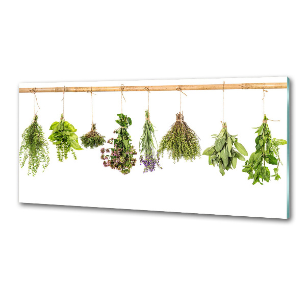 Salpicadero de cocina Hierbas en una cuerda