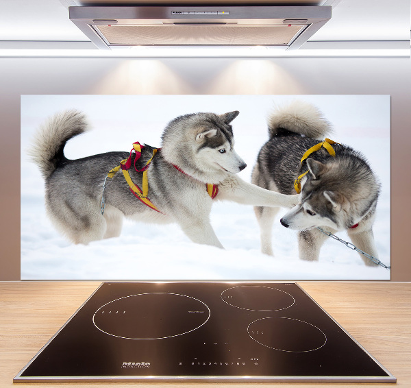 Panel de pared de cocina Huskies en invierno