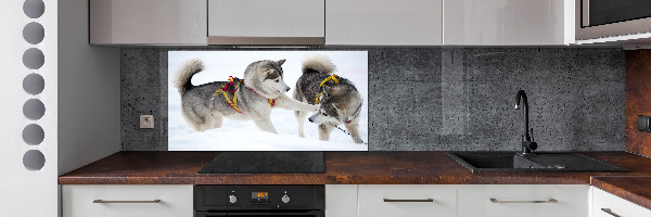 Panel de pared de cocina Huskies en invierno