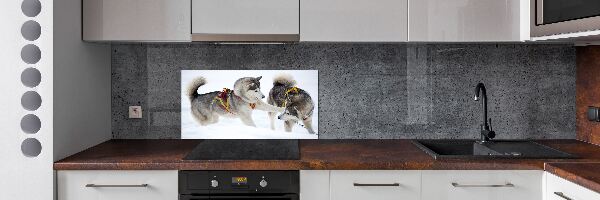 Panel de pared de cocina Huskies en invierno