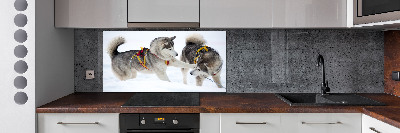 Panel de pared de cocina Huskies en invierno