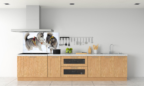 Panel de pared de cocina Huskies en invierno