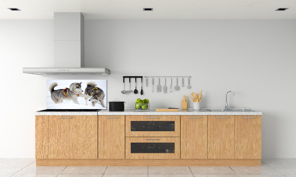 Panel de pared de cocina Huskies en invierno