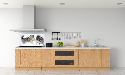 Panel de pared de cocina Huskies en invierno