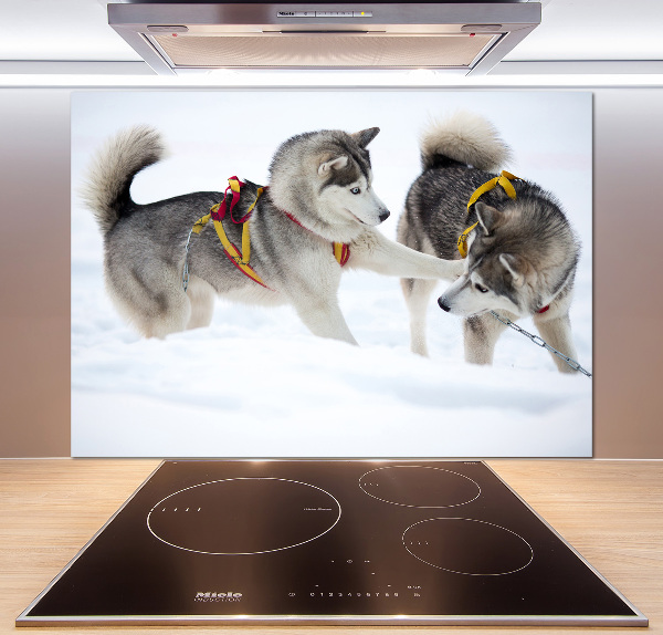 Panel de pared de cocina Huskies en invierno