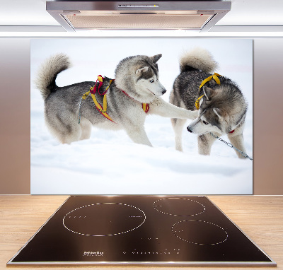 Panel de pared de cocina Huskies en invierno