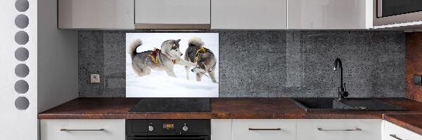 Panel de pared de cocina Huskies en invierno