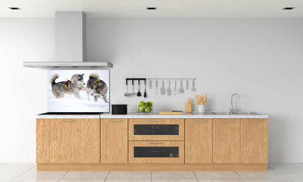 Panel de pared de cocina Huskies en invierno