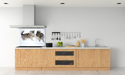 Panel de pared de cocina Huskies en invierno