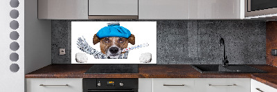 Salpicadero de cocina perro enfermo