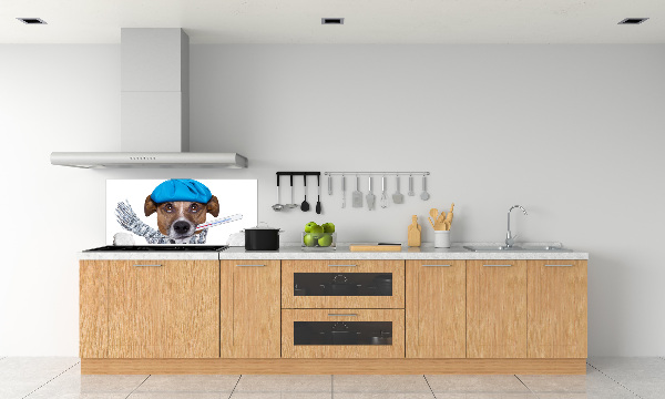 Salpicadero de cocina perro enfermo