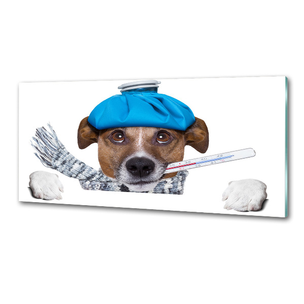 Panel dekor szkło Chory pies