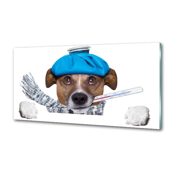 Salpicadero de cocina perro enfermo