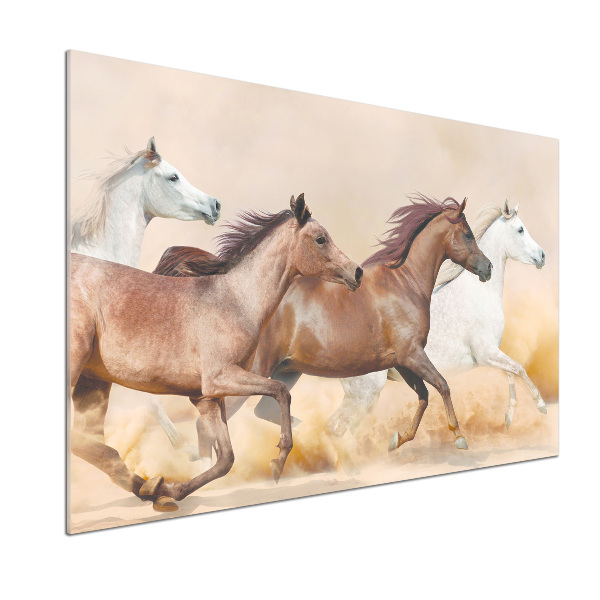 Panel antisalpicaduras Caballos al galope