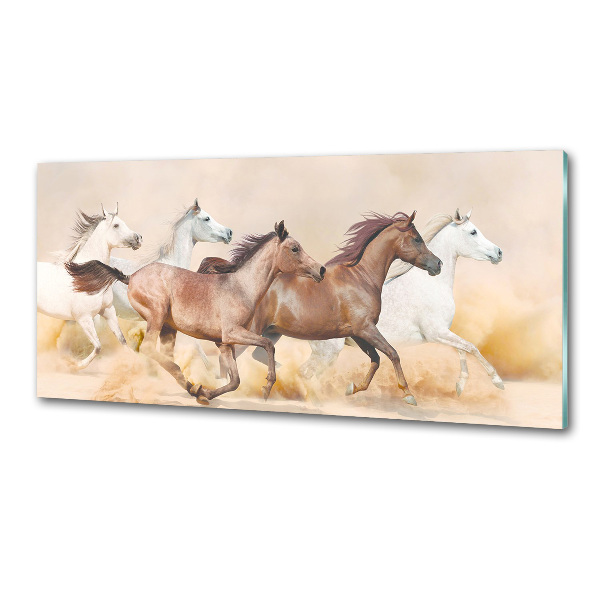 Panel antisalpicaduras Caballos al galope