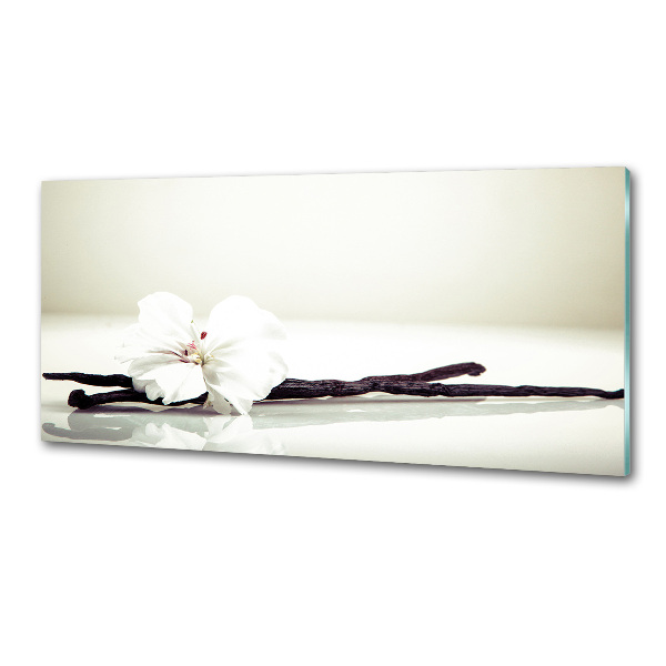 Salpicadero de cocina Vaina de vainilla