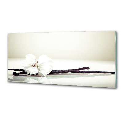 Salpicadero de cocina Vaina de vainilla