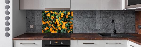 Panel para cocina Mandarinas