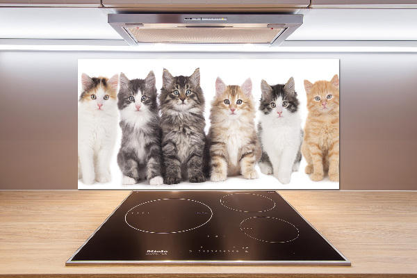 Panel para cocina Seis gatos
