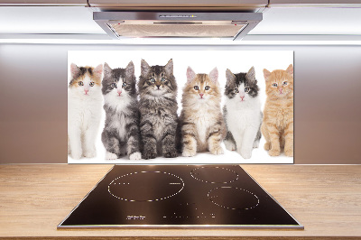 Panel para cocina Seis gatos
