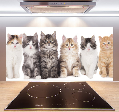 Panel para cocina Seis gatos