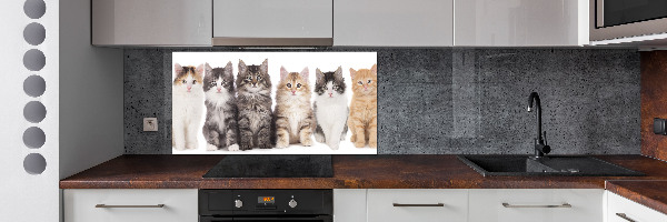 Panel para cocina Seis gatos