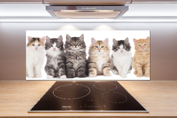 Panel para cocina Seis gatos