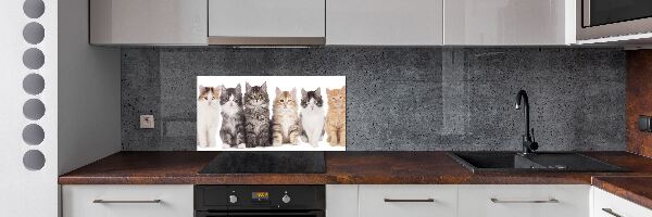 Panel para cocina Seis gatos