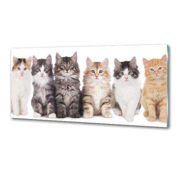 Panel para cocina Seis gatos