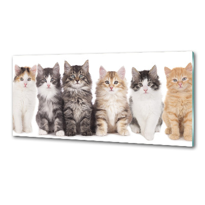 Panel para cocina Seis gatos