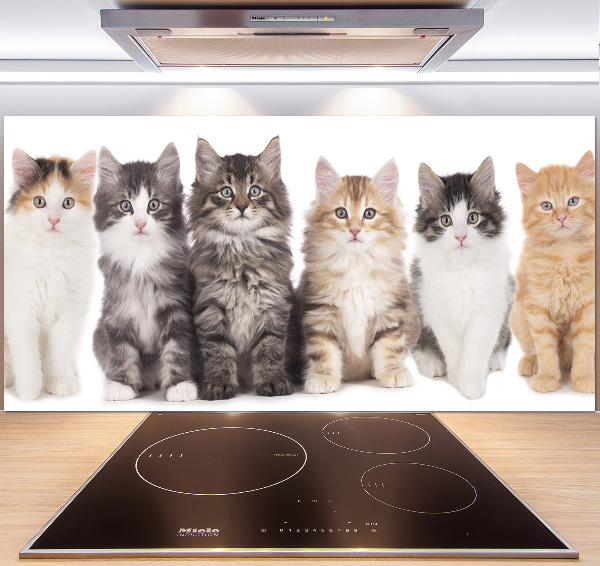 Panel para cocina Seis gatos
