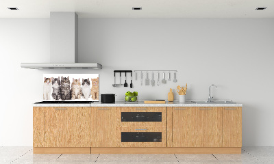 Panel para cocina Seis gatos