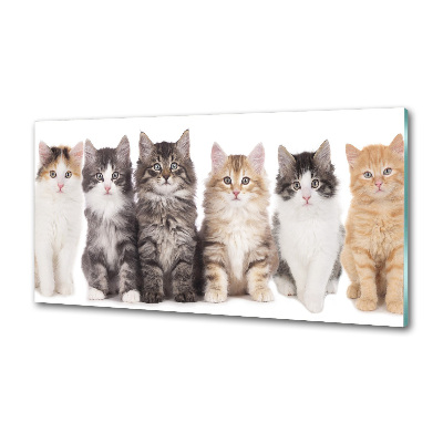 Panel para cocina Seis gatos