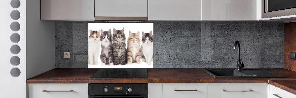 Panel para cocina Seis gatos