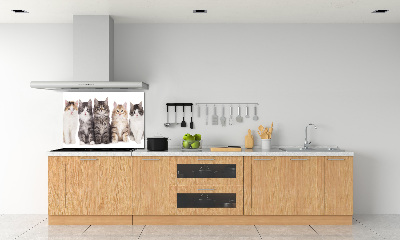 Panel para cocina Seis gatos