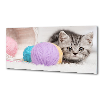 Panel do kuchni Kot z motkami