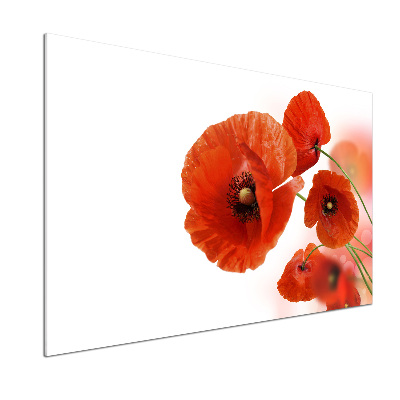 Salpicadero para cocina Amapolas