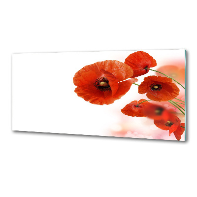 Salpicadero para cocina Amapolas