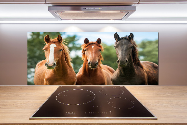 Panel para cocina Tres caballos