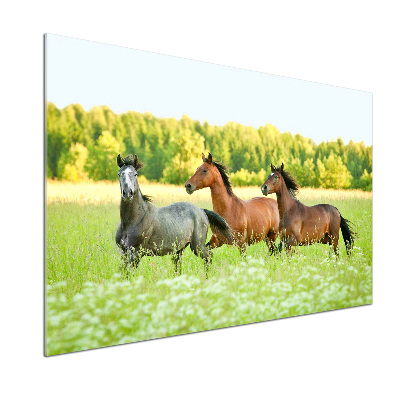 Salpicadero para cocina Caballos al galope