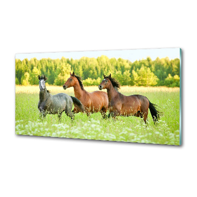 Salpicadero para cocina Caballos al galope