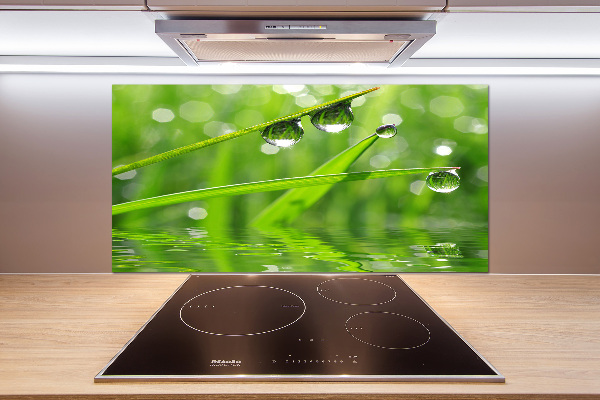 Panel de pared de cocina Gotas sobre la hierba