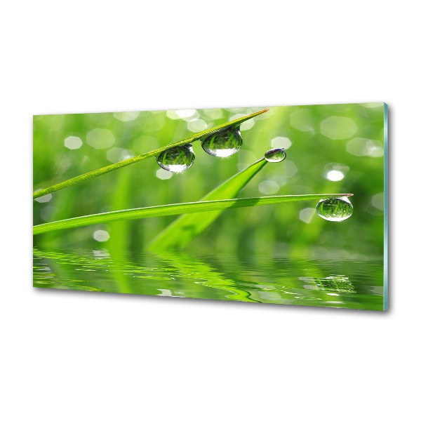 Panel de pared de cocina Gotas sobre la hierba