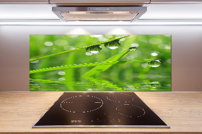 Panel de pared de cocina Gotas sobre la hierba