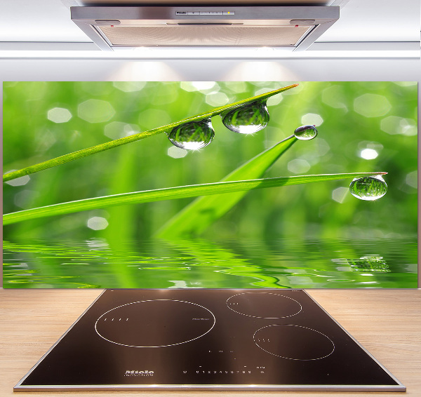 Panel de pared de cocina Gotas sobre la hierba