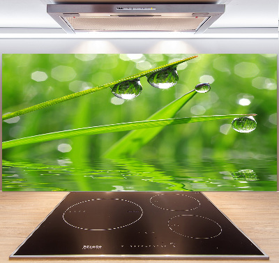 Panel de pared de cocina Gotas sobre la hierba