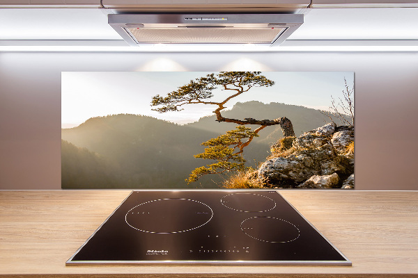 Panel do kuchni Sokolica Pieniny