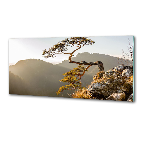 Panel do kuchni Sokolica Pieniny