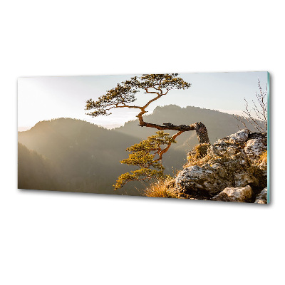 Panel do kuchni Sokolica Pieniny