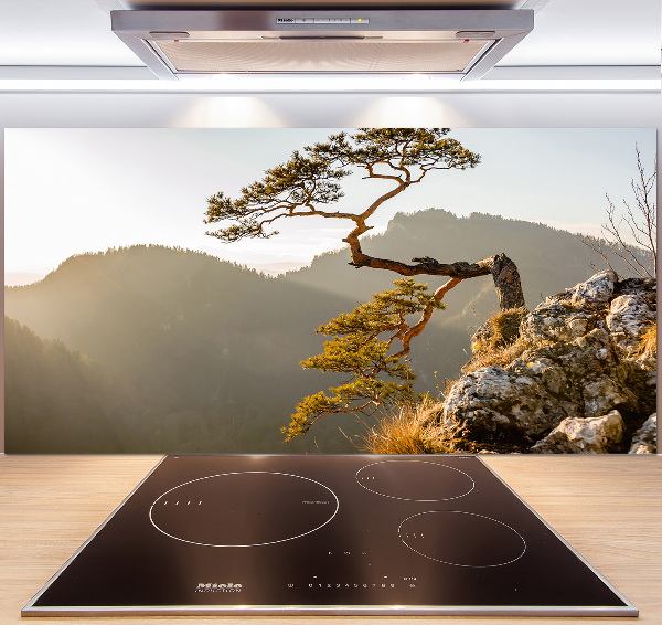 Panel do kuchni Sokolica Pieniny